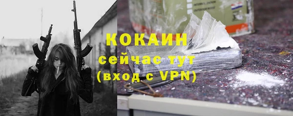дживик Алзамай
