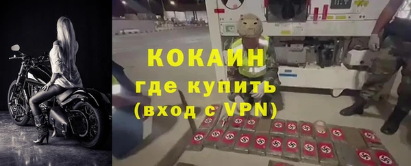дживик Алзамай