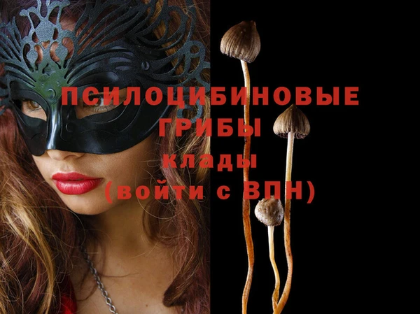 винт Алексин