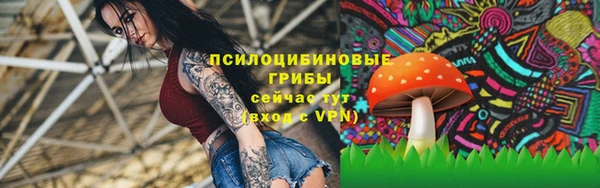 скорость Арсеньев