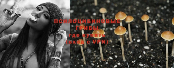 прущие крисы Алексеевка